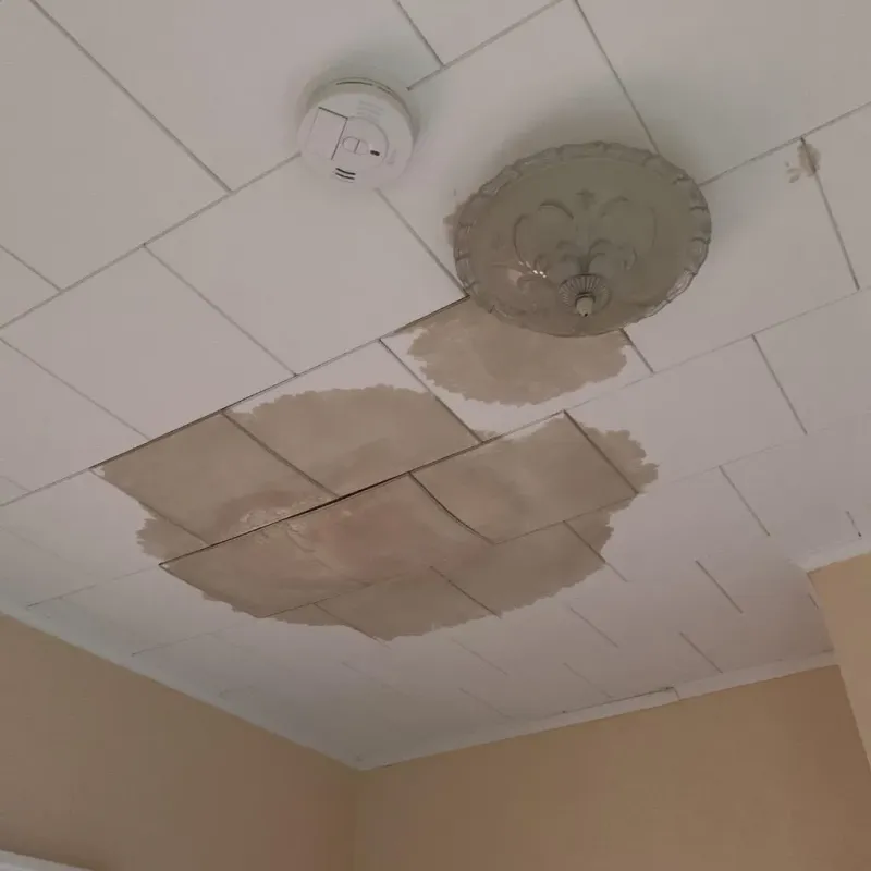 Ceiling Water Damage Repair in Bagley, MN