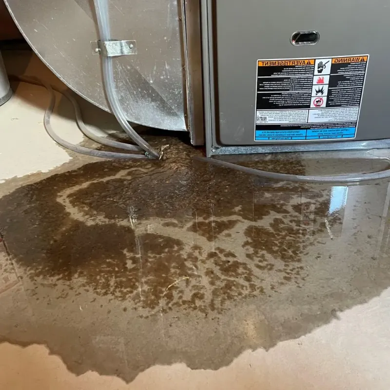 Pipe Burst and Leak Restoration in Bagley, MN