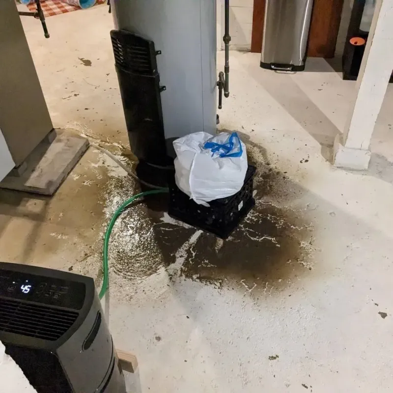 Sewage Backup Cleanup Service in Bagley, MN